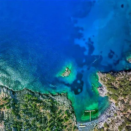 فندق Vira داليان