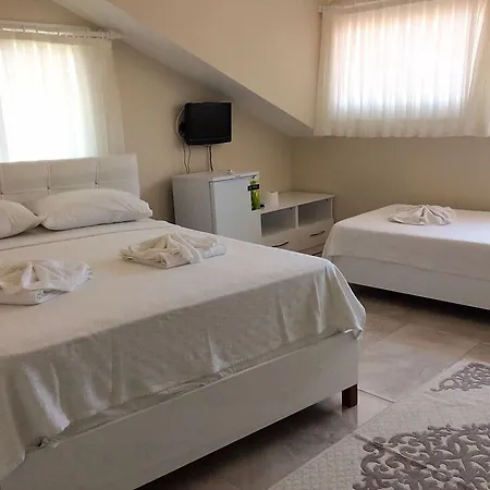 Vira فندق داليان