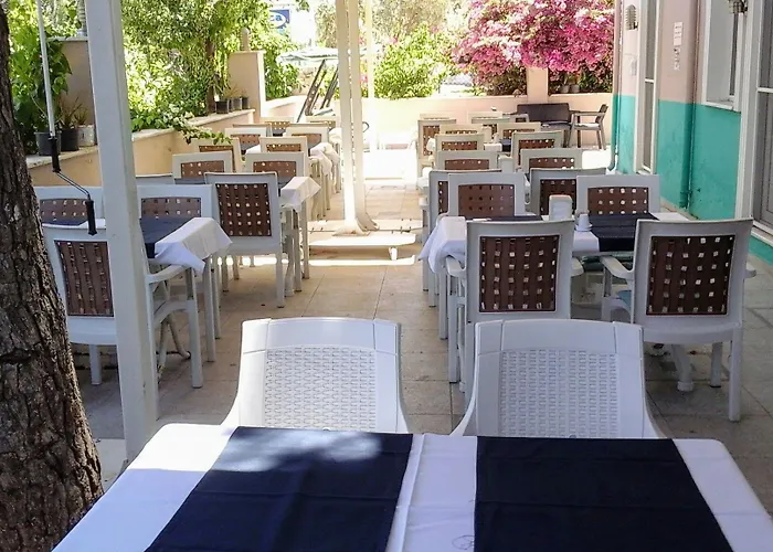 فندق Vira 4*